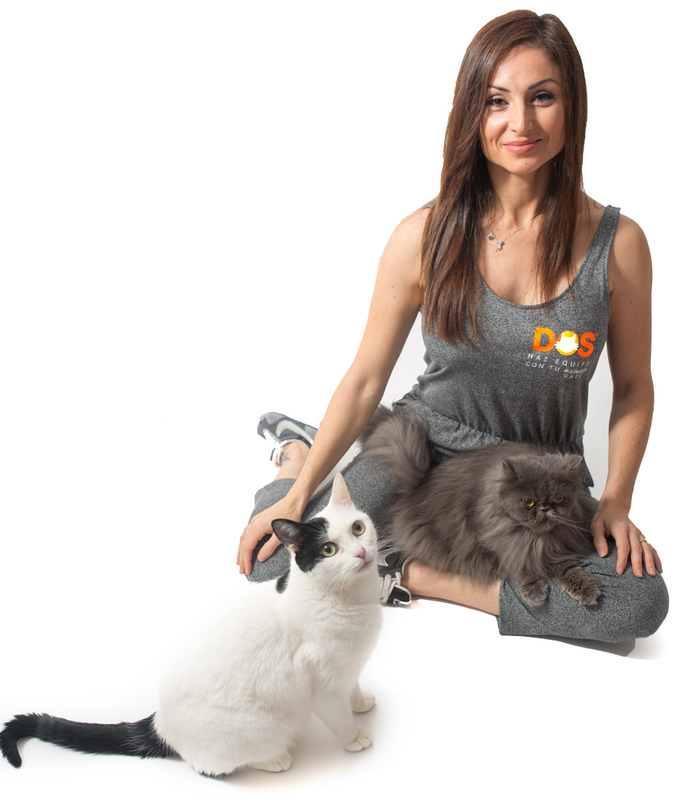 adiestrador de gatos 16